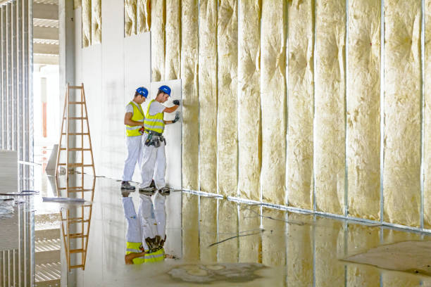 Best Spray Foam Insulation in Kennedale, TX